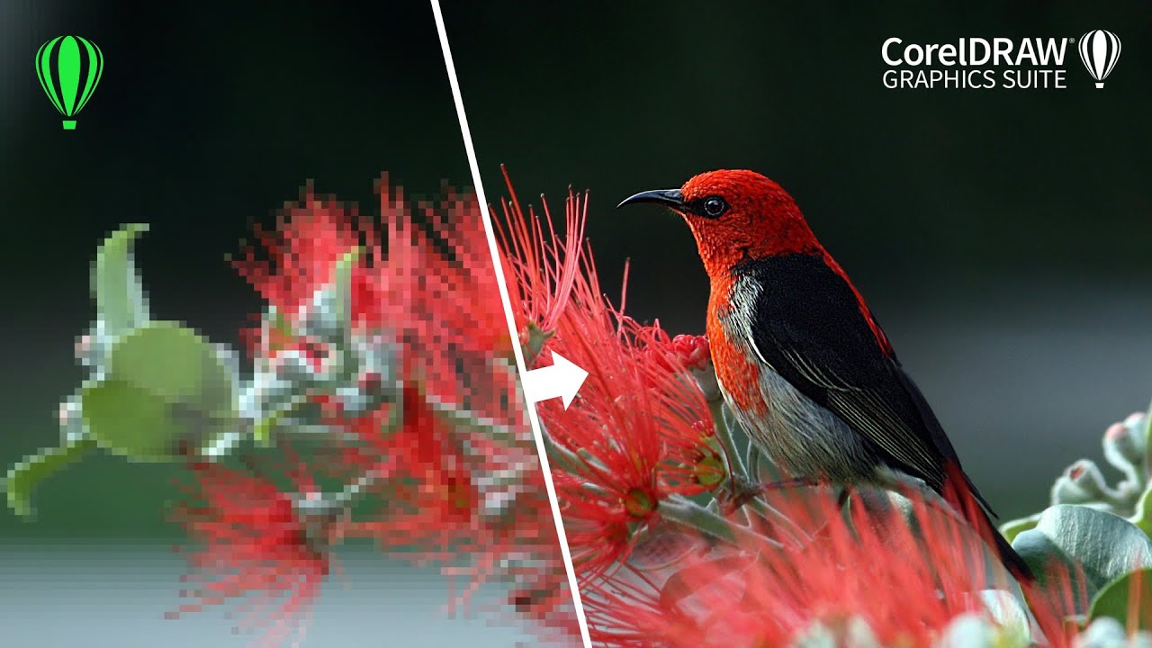 CorelDRAW tips&tricks - improve the quality of low resolution images in CorelDRAW 2024
