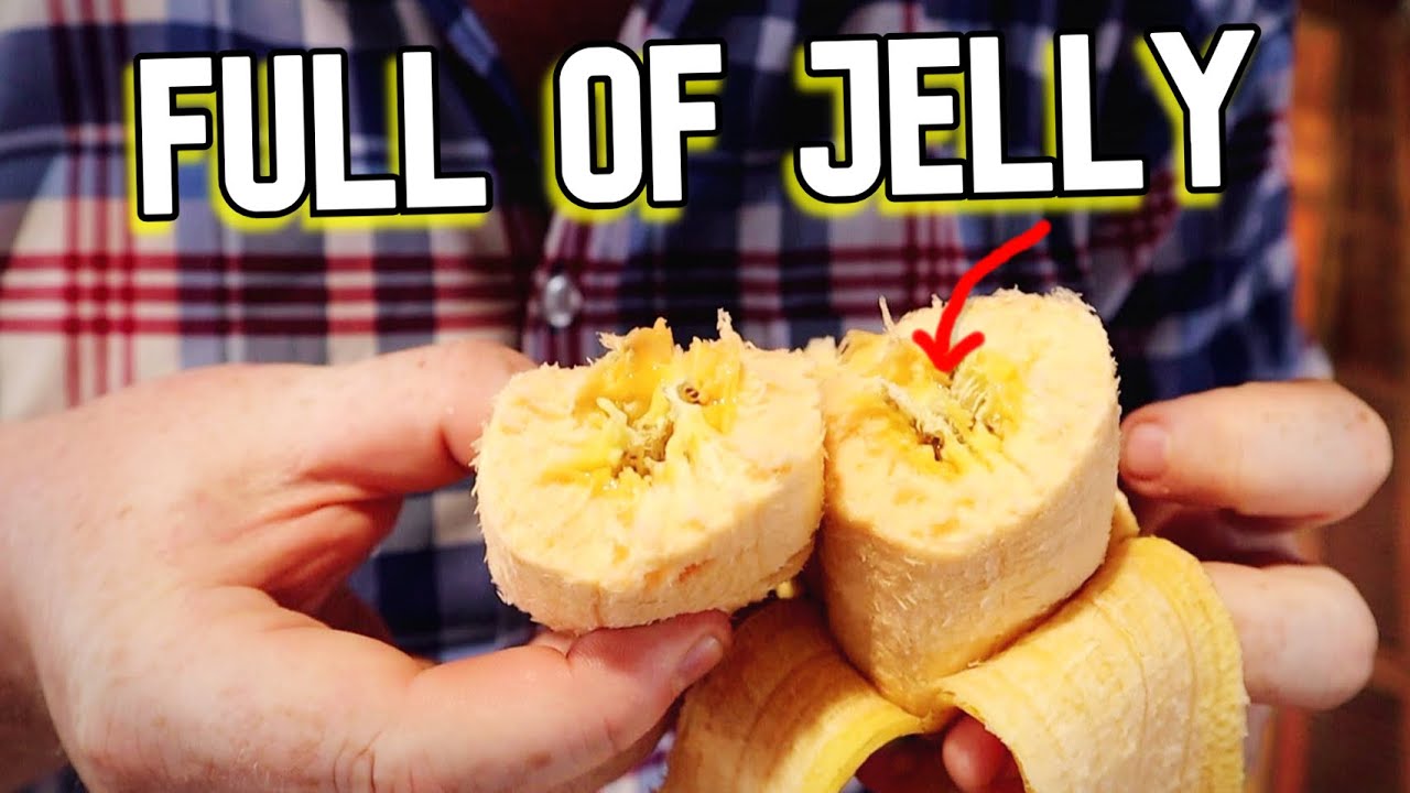 What is a Jelly Banana?