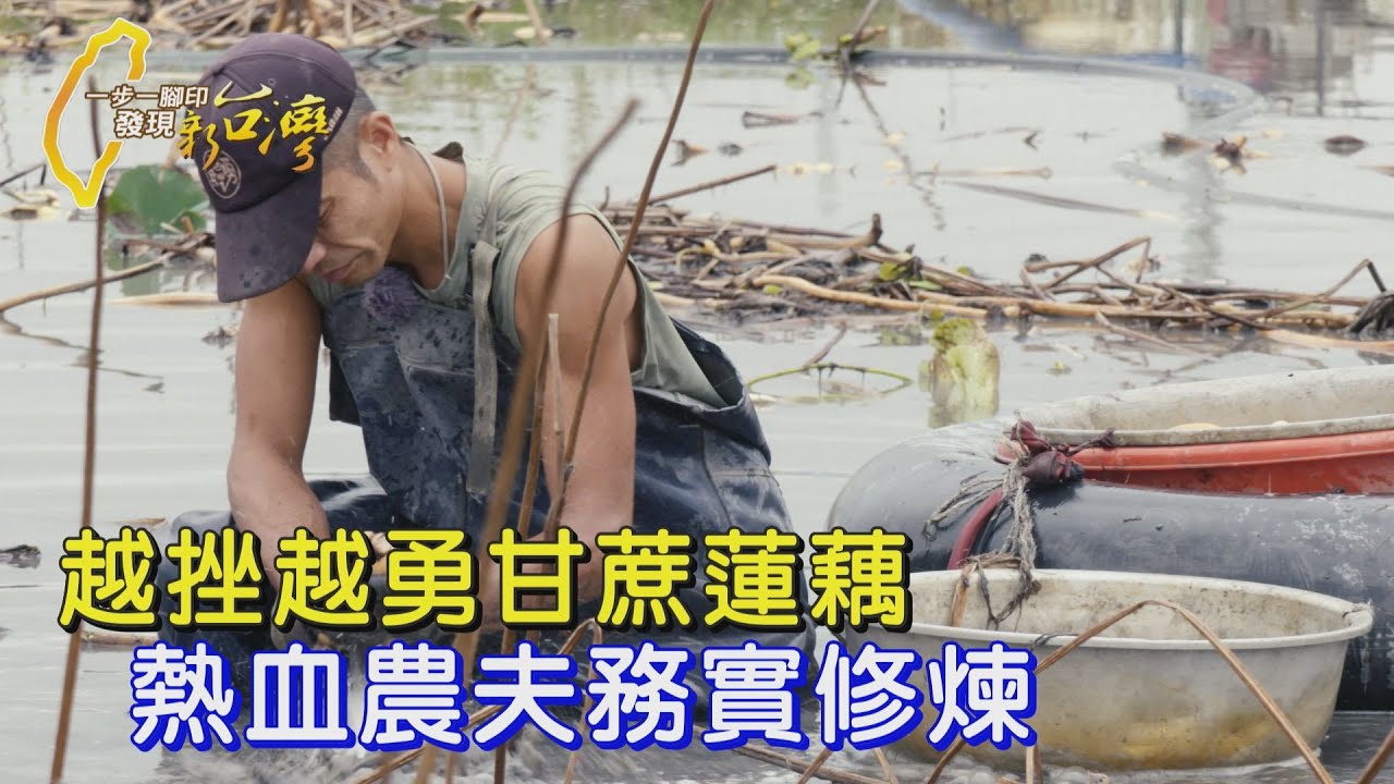 〔宜蘭〕務農很好但別衝動！熱血工程師種甘蔗蓮藕 從挫折中學會踏實逐夢∣一步一腳印【甘蔗與蓮藕有機奮鬥】202500511