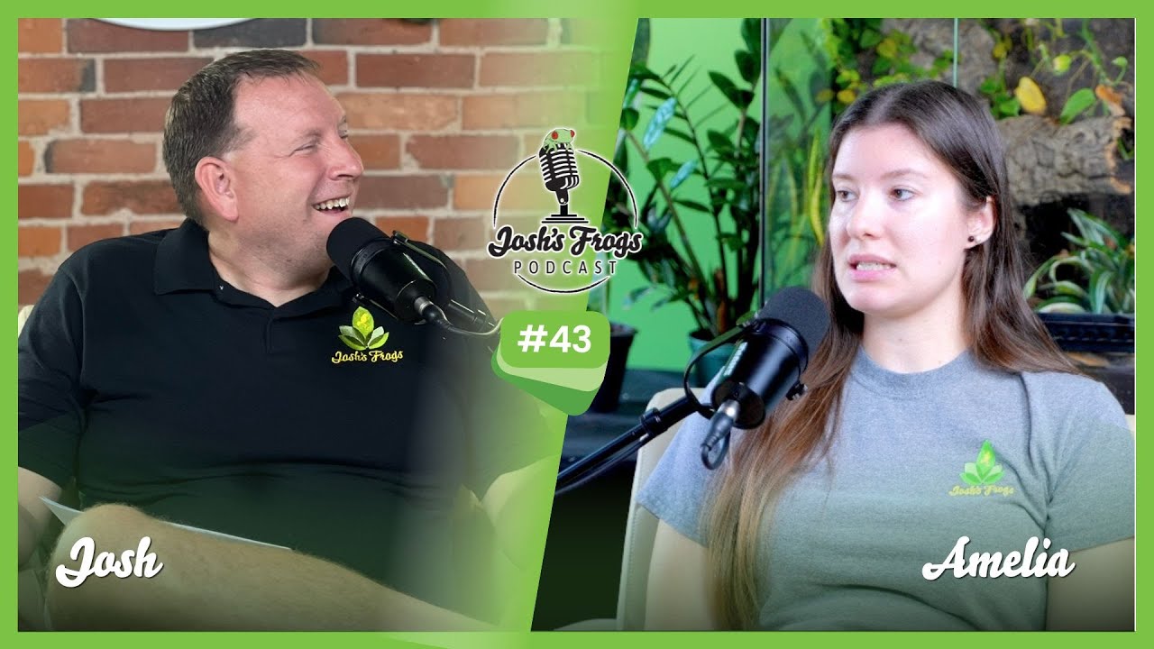 Crown Tree Frogs - Josh's Frogs Podcast Episode 43