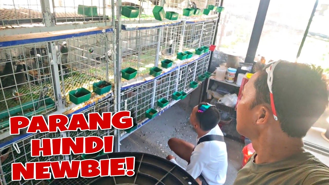 KAKA START PALANG, HALIMAW NA AGAD!!