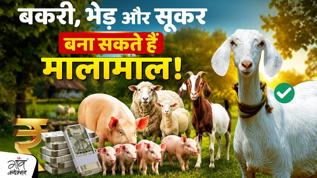 Earn Big with Goat, Sheep, and Pig Farming! Major Event for Farmers in Lucknow