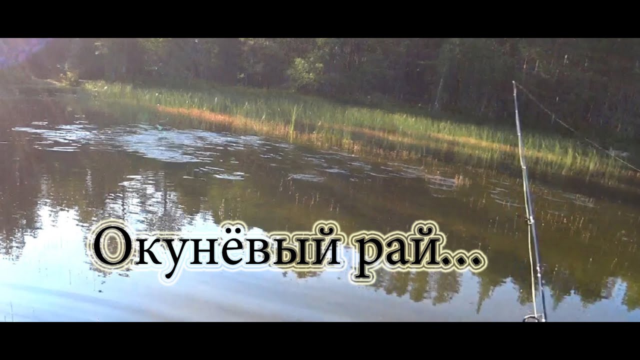 СТОЛЬКО окуня я еще не видел! Отловился как надо!  Удача под конец отпуска.