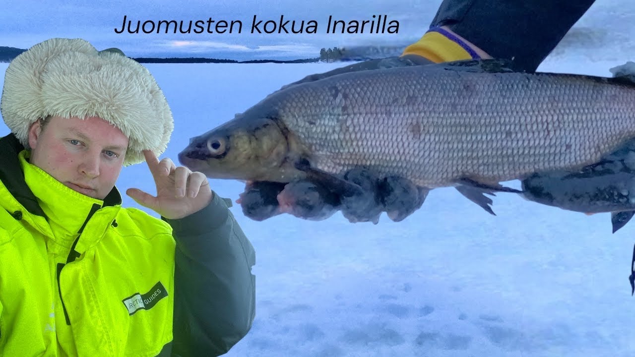 Joumusten koku Inarilla Helmikuussa || Talvikalastusta