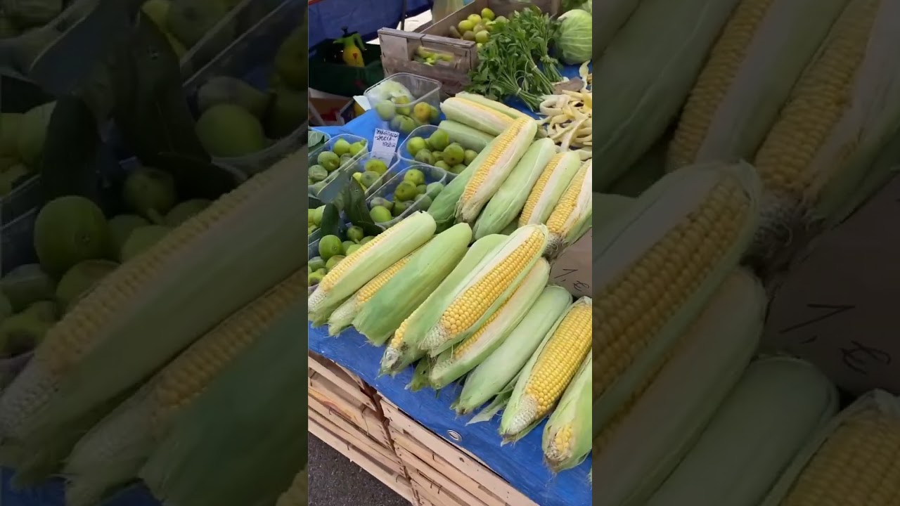 Хорватский рынок