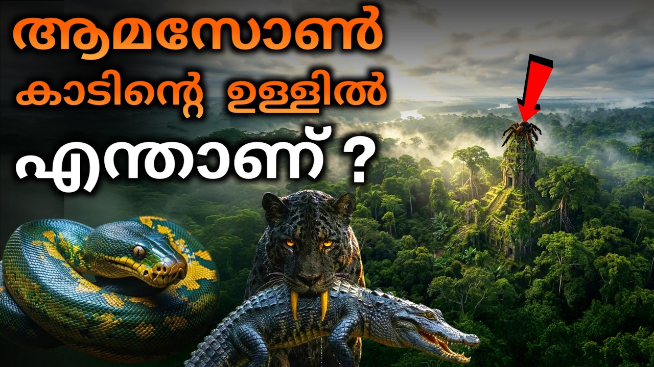 എന്തുകൊണ്ട് ആമസോൺ കാടിനെ മനുഷ്യർ പരിവേഷണം ചെയ്യാൻ പേടിക്കുന്നു?