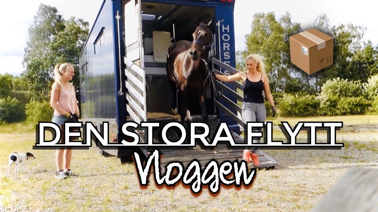 2 dagars FLYTTVLOGG