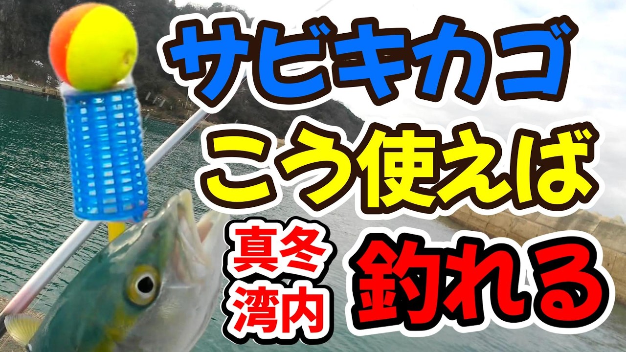 サビキカゴをこうやって使った仕掛けで真冬の漁港湾内でハマチ、チヌが釣れる（仕掛け解説あり）