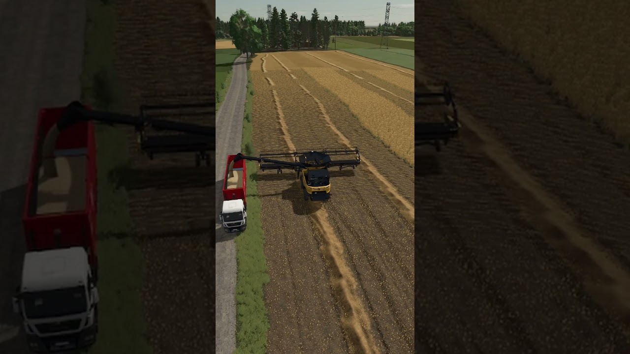 Oat harvest and transport |  Farming Simulator 25