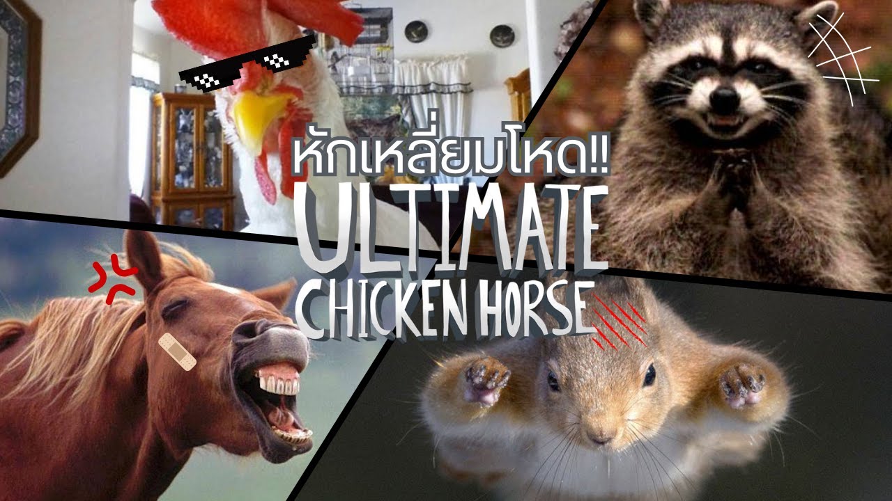 สัตว์โลกน่ารัก สักหมัดคงไม่เป็นไร| Ultimate Chicken Horse