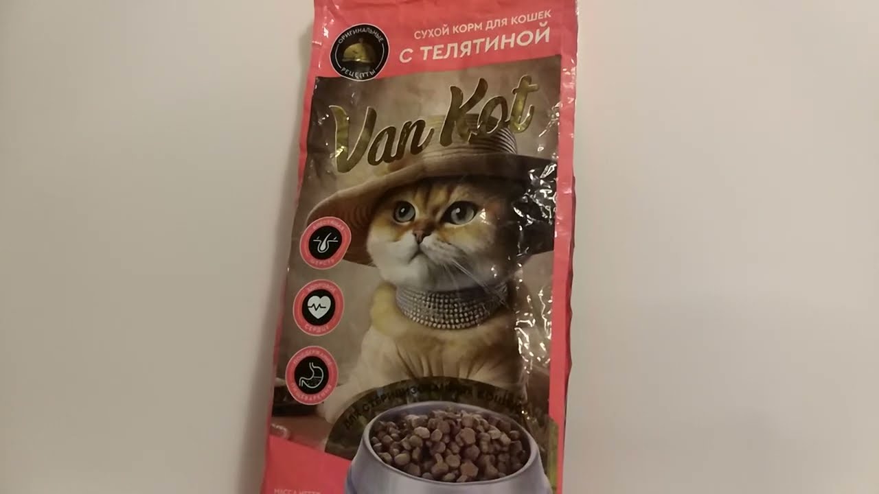 Обзор на 