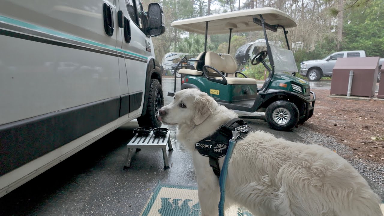 Trapped in the Rain at Fort Wilderness with Our 3 Big Dogs!!