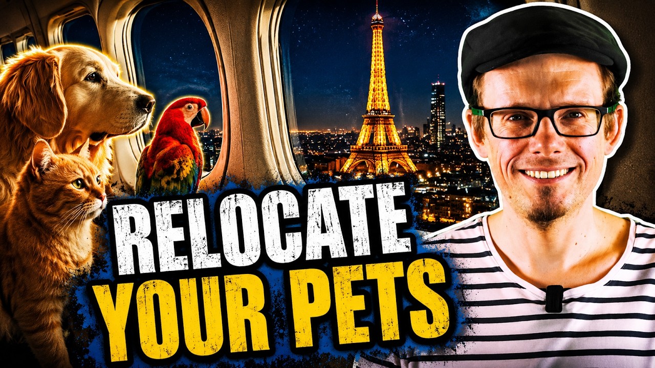 Moving to France With Pets  - The Brutally Honest Guide - Dogs, Cats, Horses & More