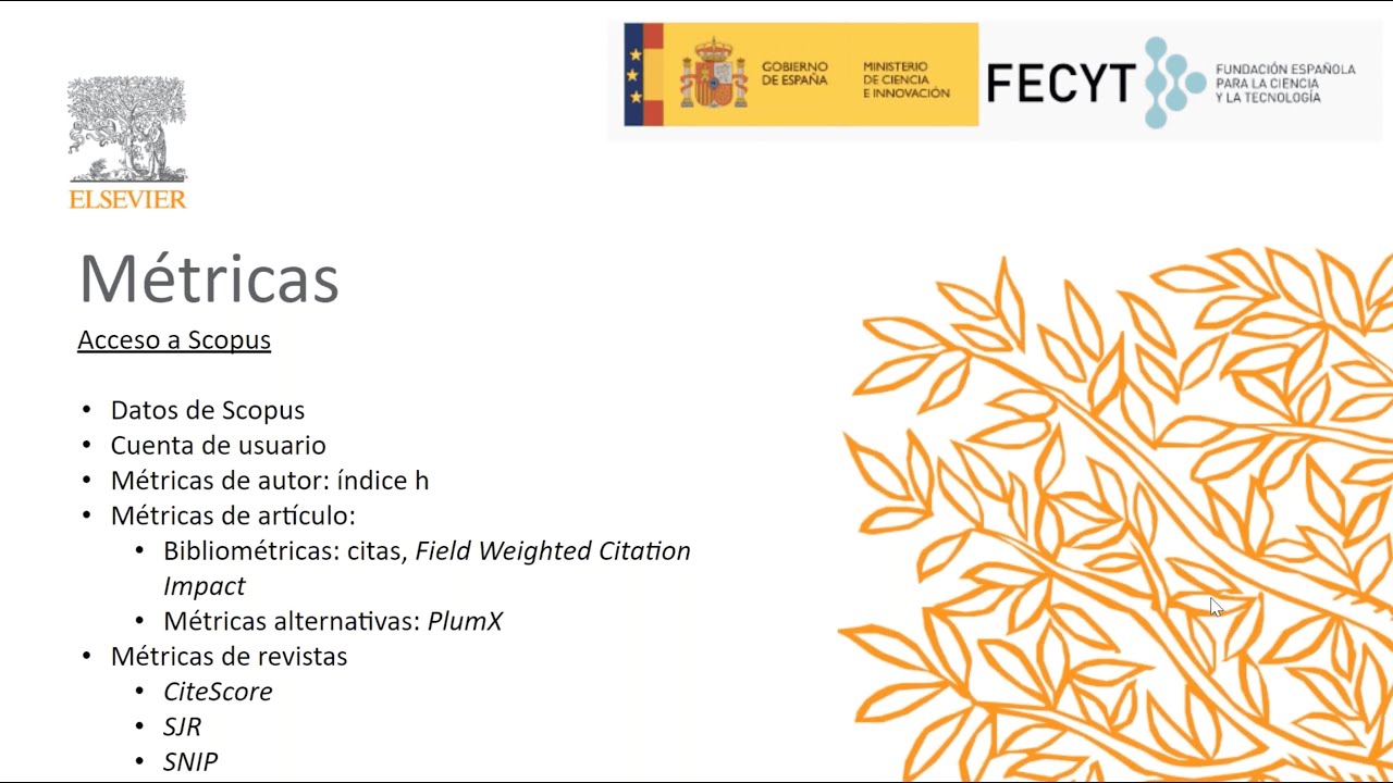 Curso 4 – Scopus: métricas