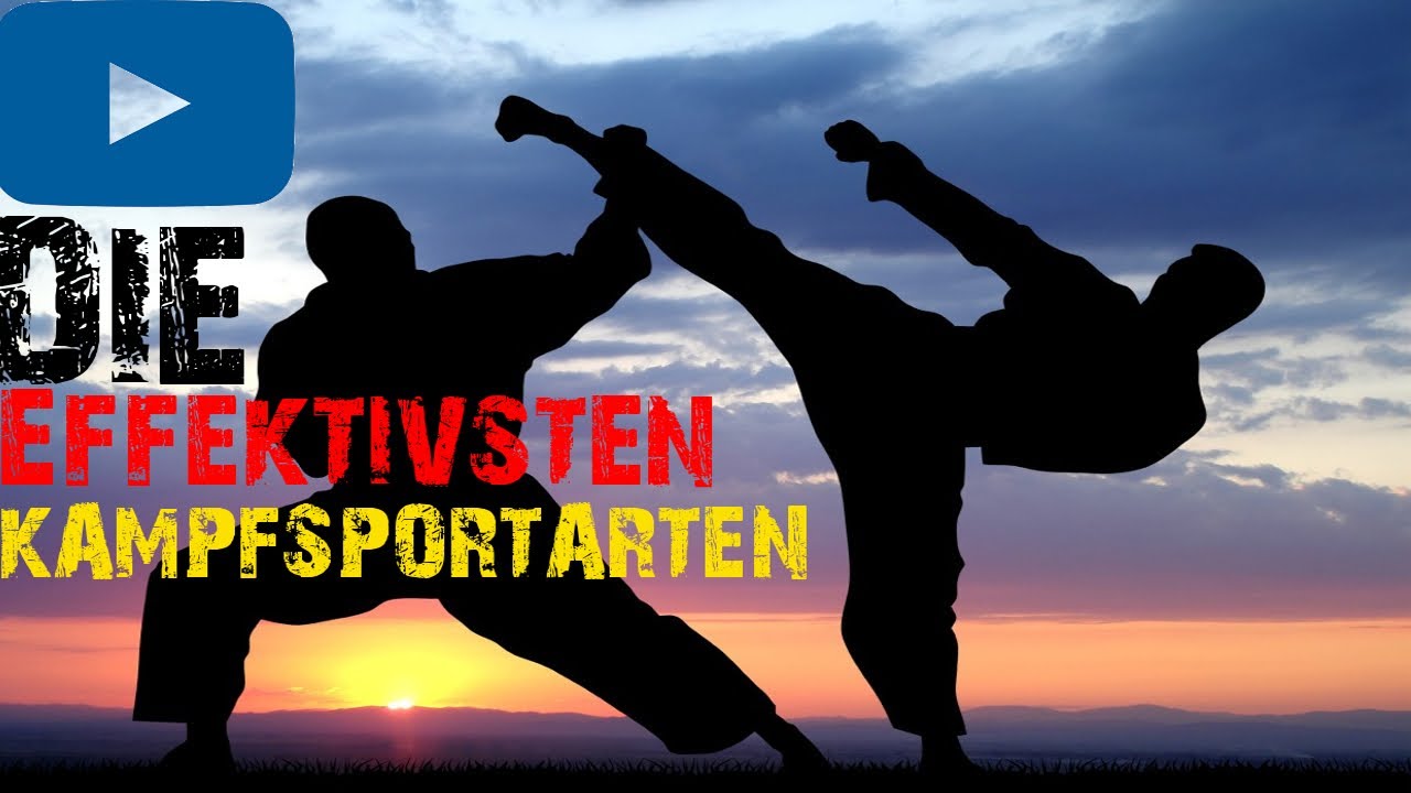 Die 10 Effektivsten Kampfsportarten -BrosTV
