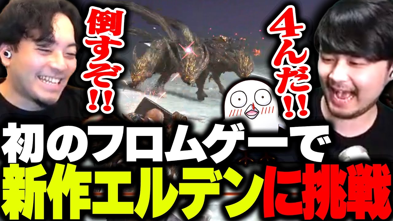 初めてのフロムゲーで、今話題の新作エルデンリングに挑戦するボドカ【ボドカ/k4sen/おぼ/ELDEN RING NIGHTREIGN】