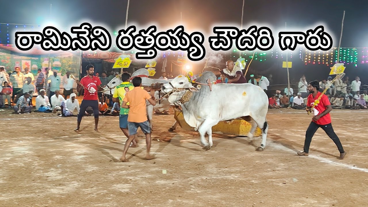 మాచవరం గ్రామం న్యూ కేటగిరి విభాగం💥6వ జత 💥 రామినేని రత్తయ్య చౌదరి గారు   తోటపాలెం