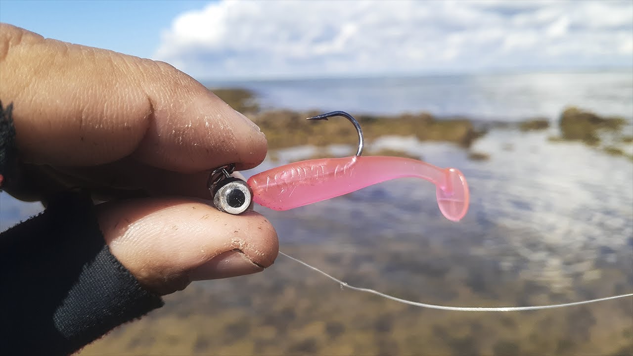 PESCARIA ULTRALIGHT NAS PEDRAS DA PRAIA TESTANDO OS MICRO SHADS