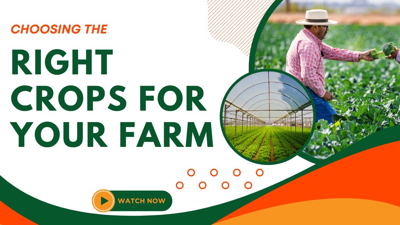 Choosing the Right Crops for Your Farm A Beginner&rsquo;s Guide