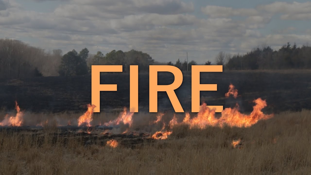 Burning of Native Warm Season Grasses | NWSG Management Series