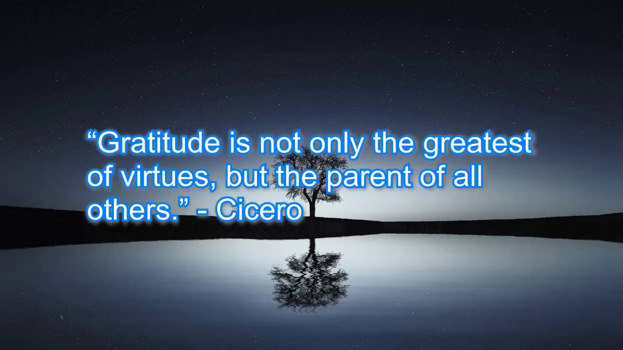 Personal Freedom Quotes 1