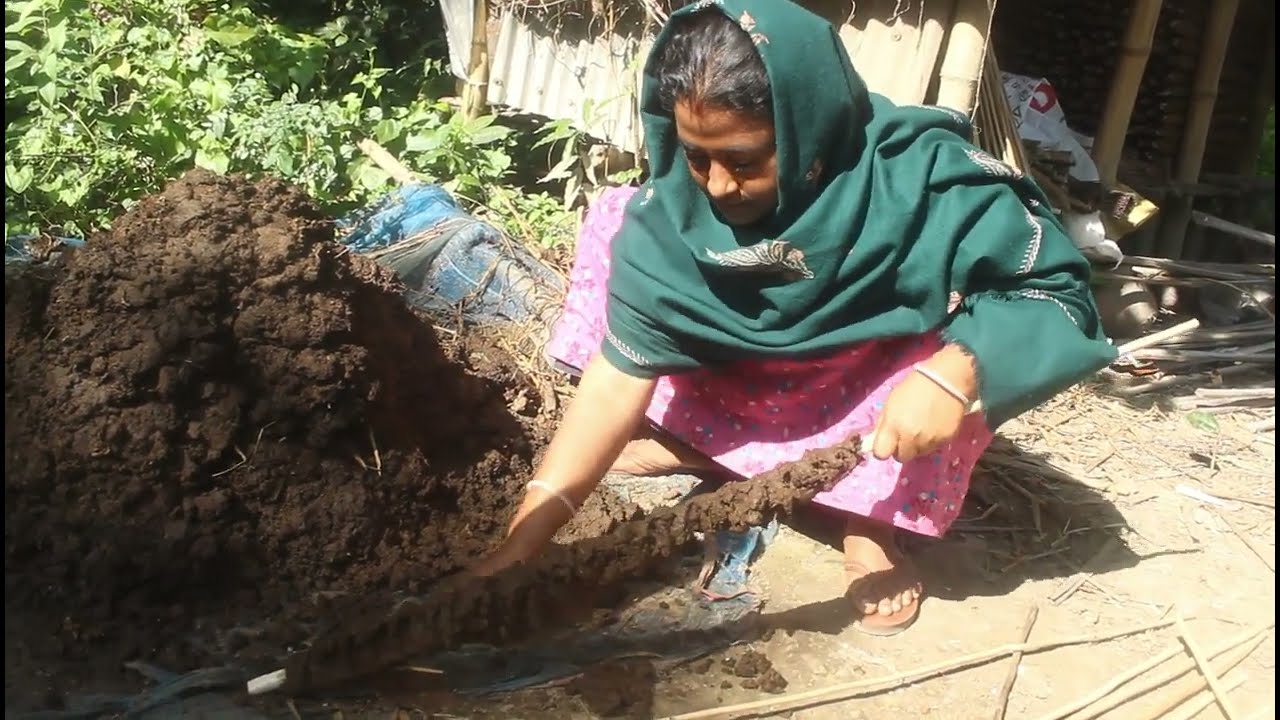 গোবর মুঠে বানানোর সহজ পদ্ধতি