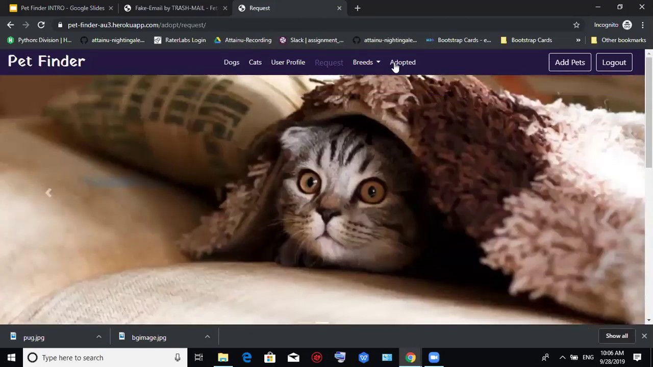 PetFinder - A Web App for Pet Adoption | Software Engineering Course's Project (Demo 4)