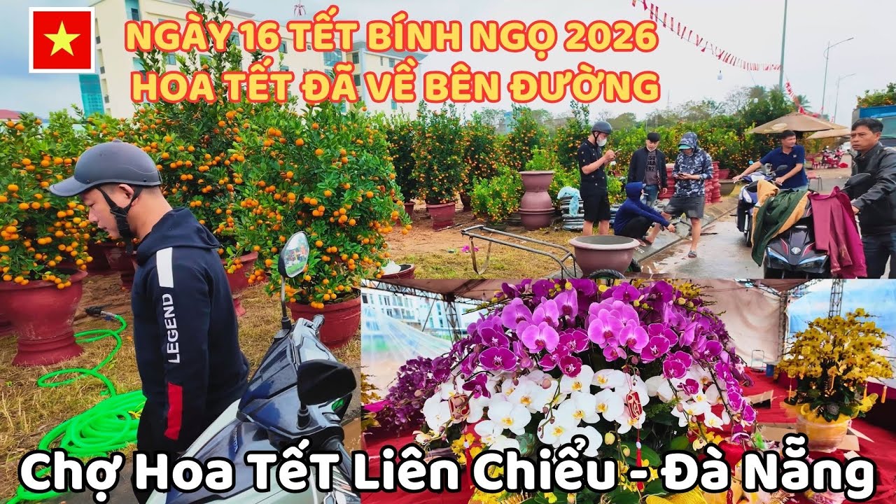 Ngày 16 TếT Bính Ngọ 2026 Hoa Tết Đã Về Bên Đường , Chợ Hoa TếT Liên Chiểu - Đà Nẵng