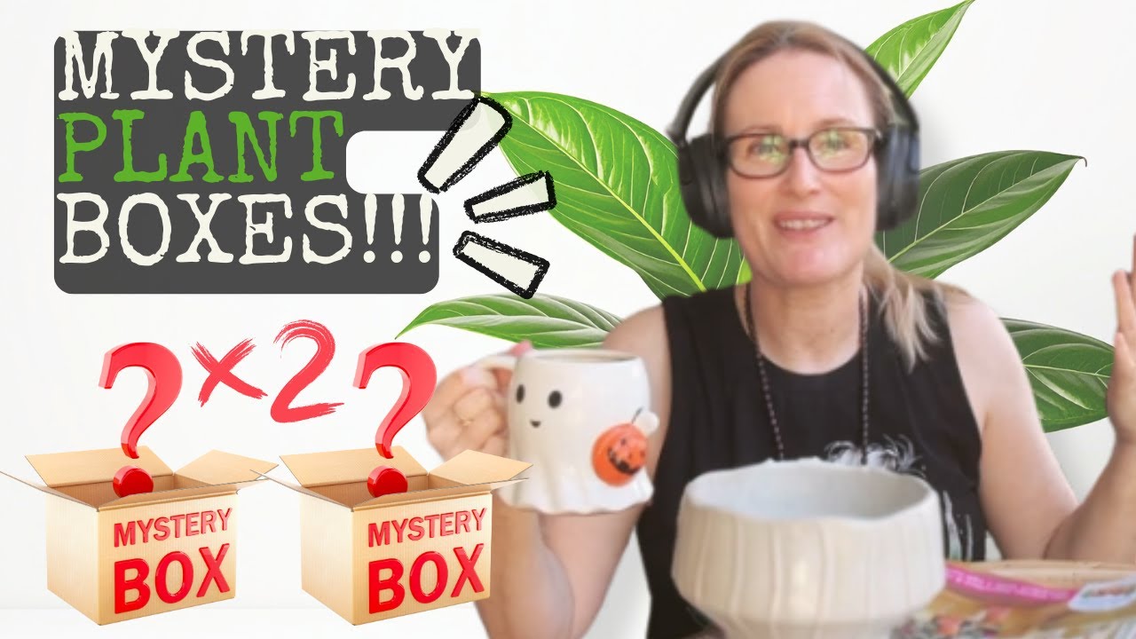 Unboxing Two Mystery Plant Boxes! 🌱 Beginner Propagation Tips & Cozy Chaos included 🌿✨🤩