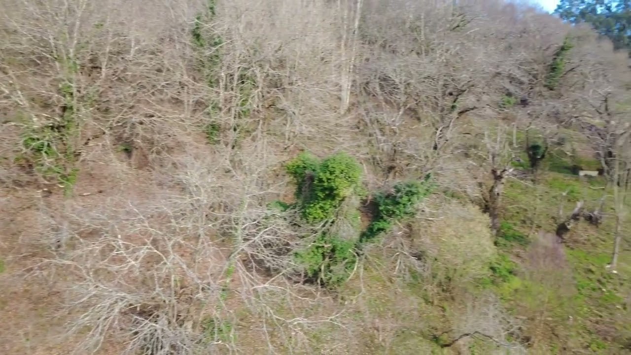 Sobrevolando Pueblo Robledo