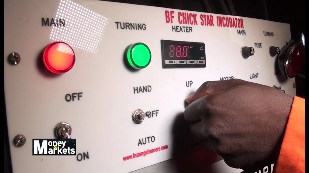 Ugandan Made Poultry Egg Incubator Offering Efficiency To Farmers
