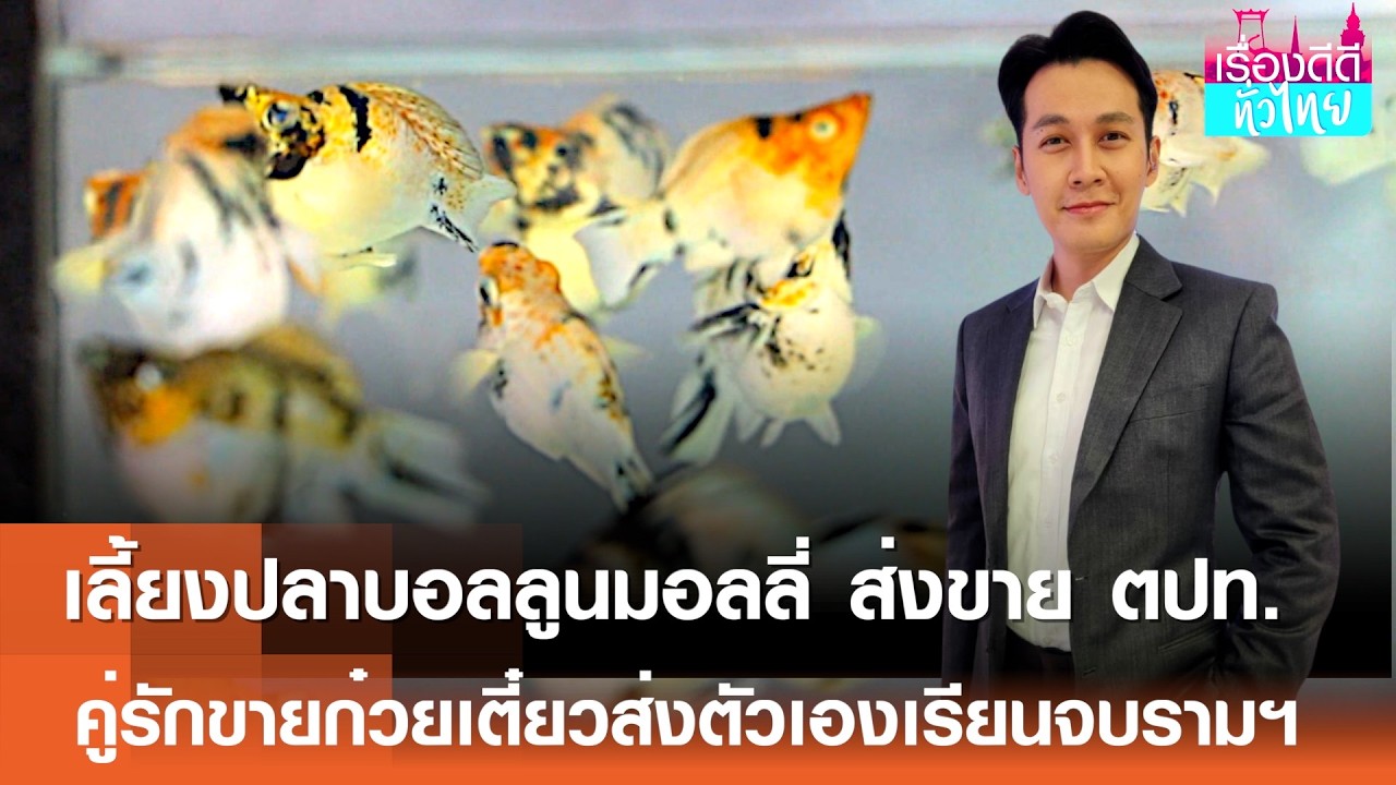 เลี้ยงปลาบอลลูนมอลลี่ส่งขายตปท.,คู่รักขายก๋วยเตี๋ยวส่งตัวเองเรียนจบรามฯIเรื่องดีดีทั่วไทย 19-02-26