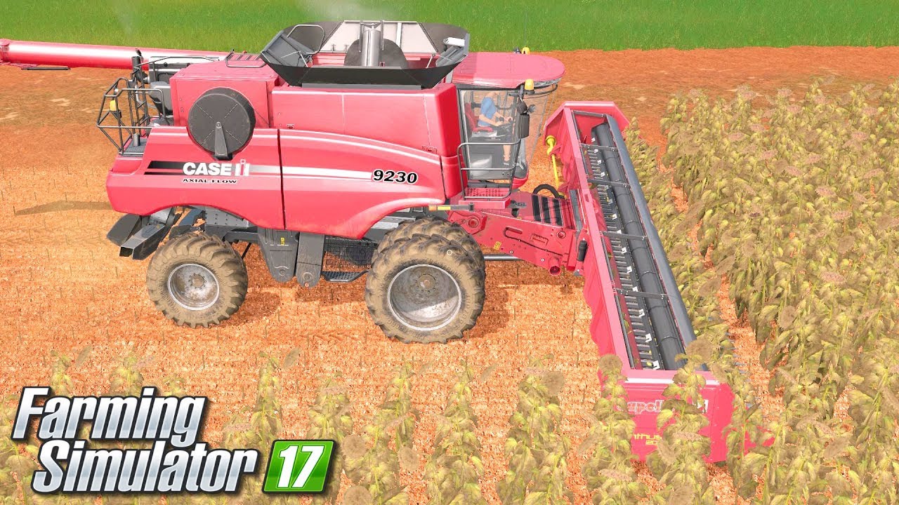 Słonecznikowe żniwa - Farming Simulator 17 [PLATINUM] | #35