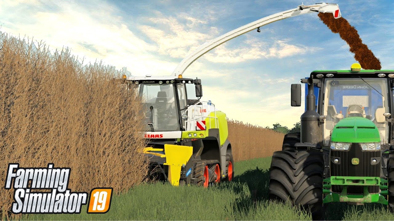 СТОИТ ЛИ ОНО ТОГО? ПОПУЛЯРНЫЕ ТОПОЛЯ - FS19 | Lone Oak Farm