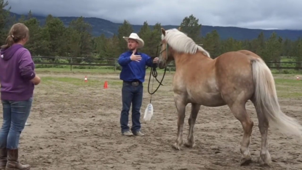 Dealing with a Nippy, Pushy Horse