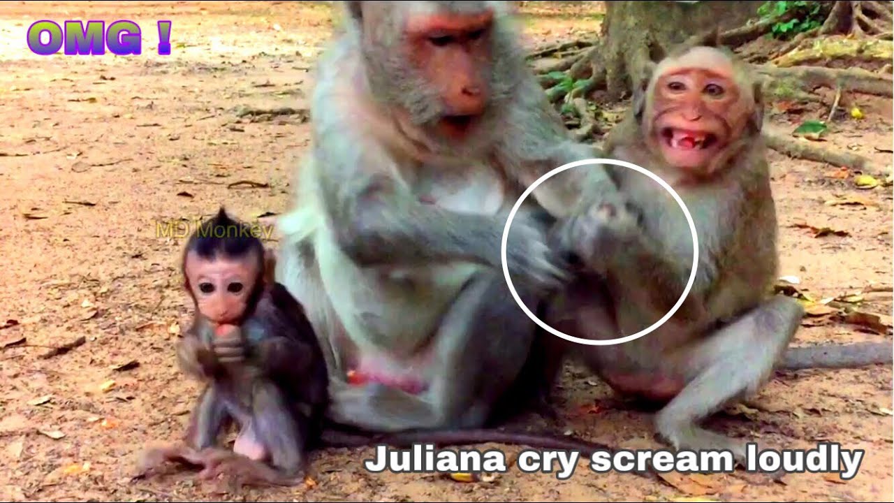 OMG ! JULIANA CRY SCREAM LOUDLY BECAUSE MUM JADE GOT SNATCHED FROM JULIANA , JULIANA GOT ANGRY S..
