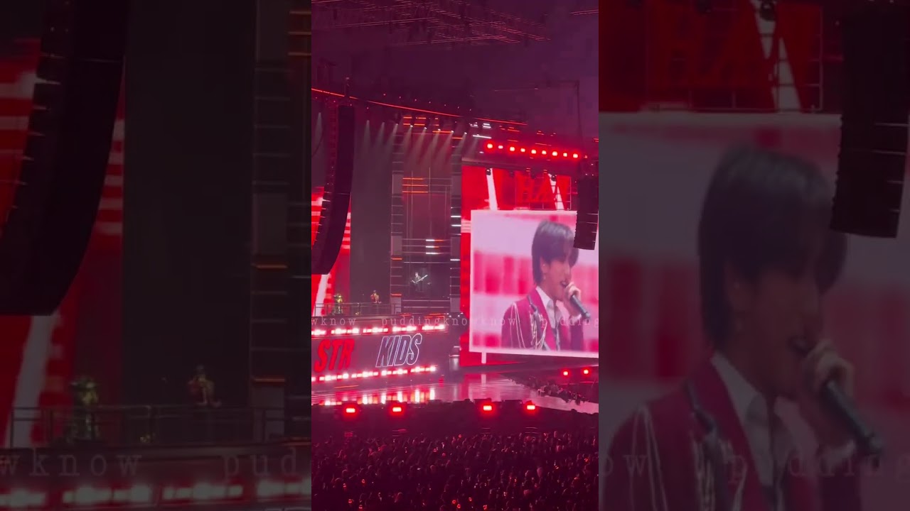 Stray Kids HAN - “Don’t Say” (Solo Stage)