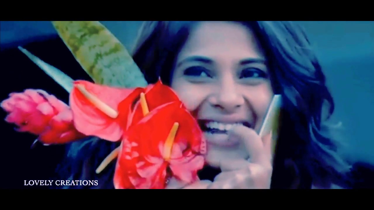 HBD Jennifer Winget!