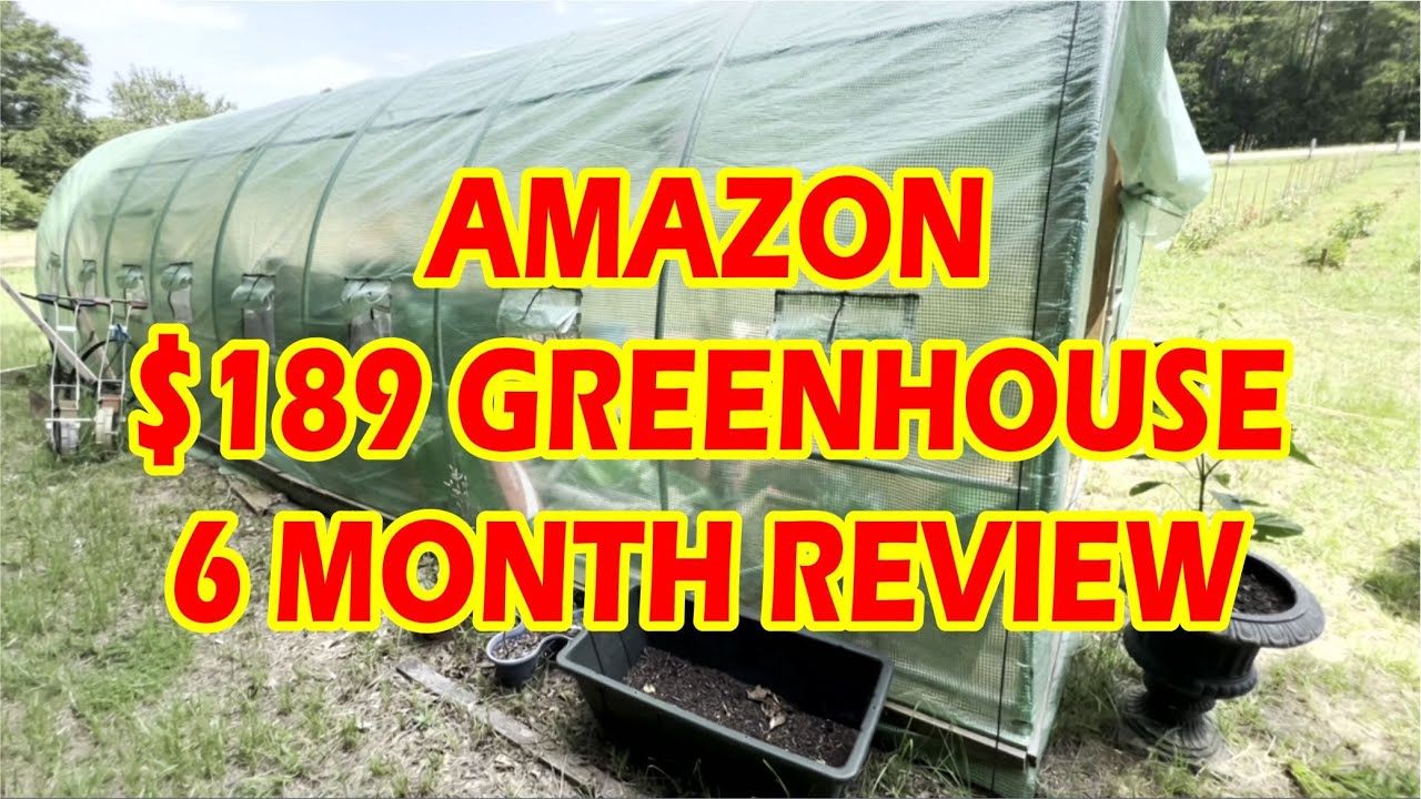 Cheap Amazon Greenhouse 6‑Month REVIEW &mdash; Did It Survive? (Honest Results)