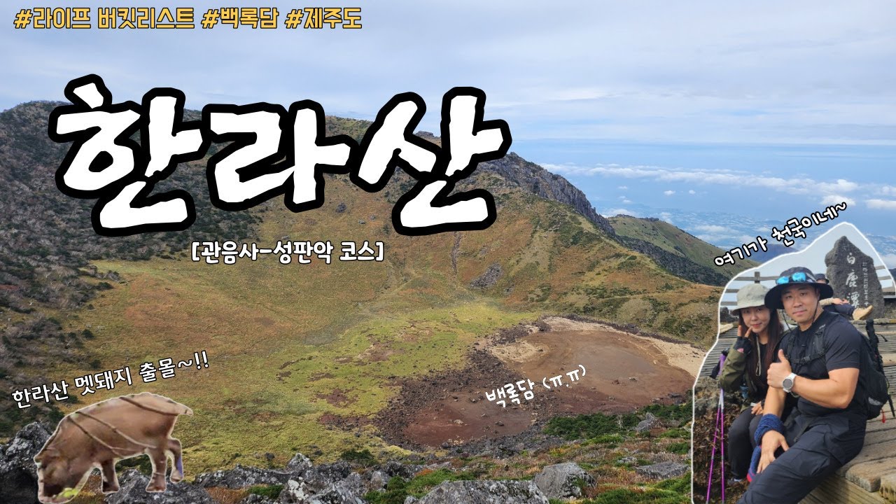 가을 한라산 이래도 되니 #백록담 #멧돼지출현 #제주도 #버킷리스트