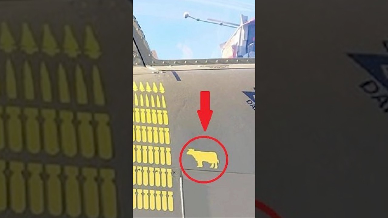Dieser Kampfjet Hat Eine Kuh Besiegt