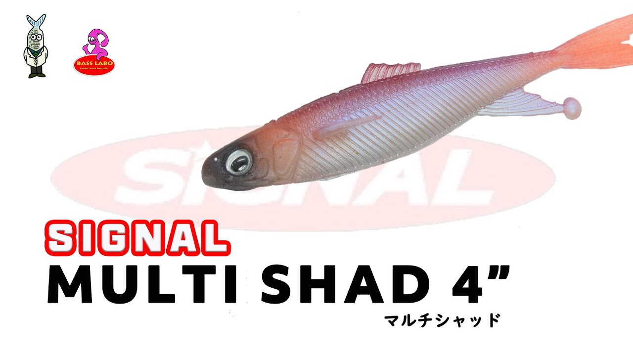 マルチシャッド4