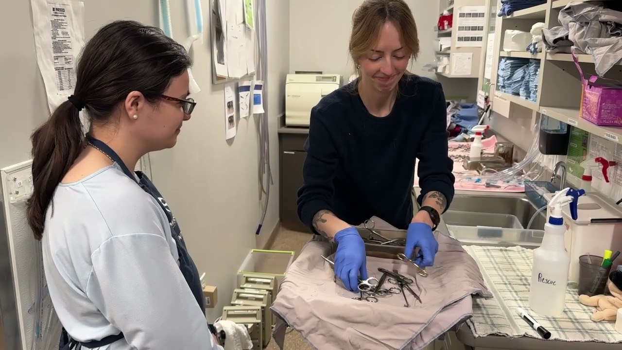 Volunteer Spotlight: Ciara's Second Year with Mission