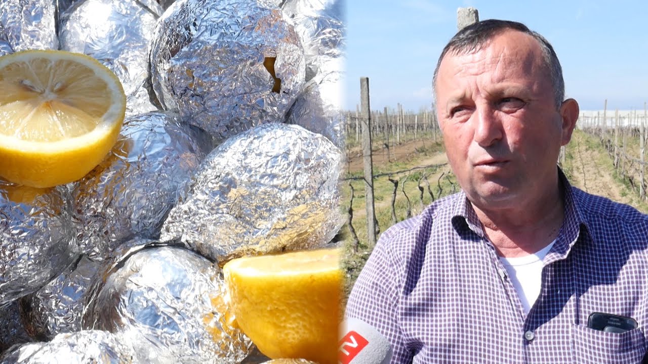 Një truk i thjeshtë, pa shpenzime për të ruajtur agrumet e freskëta pa frigorifer, për kohë të gjatë