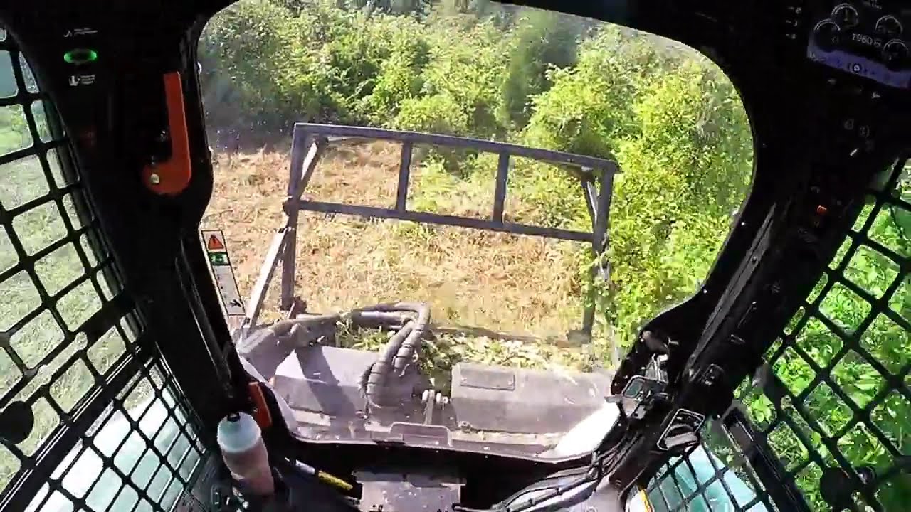 Forestry Mulching  3/4-acres Dense Brush and Trees