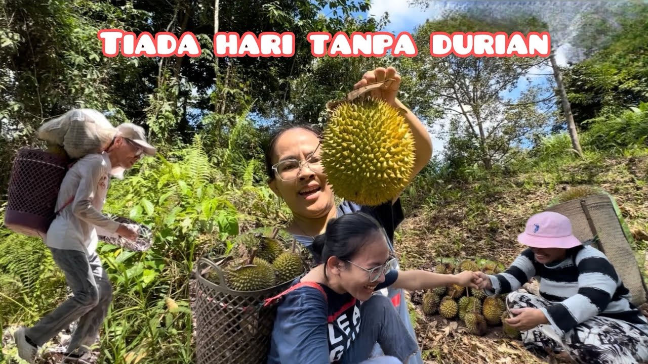 KUTIP BUAH DURIAN, DAPAT PAKEJ BERSENAM