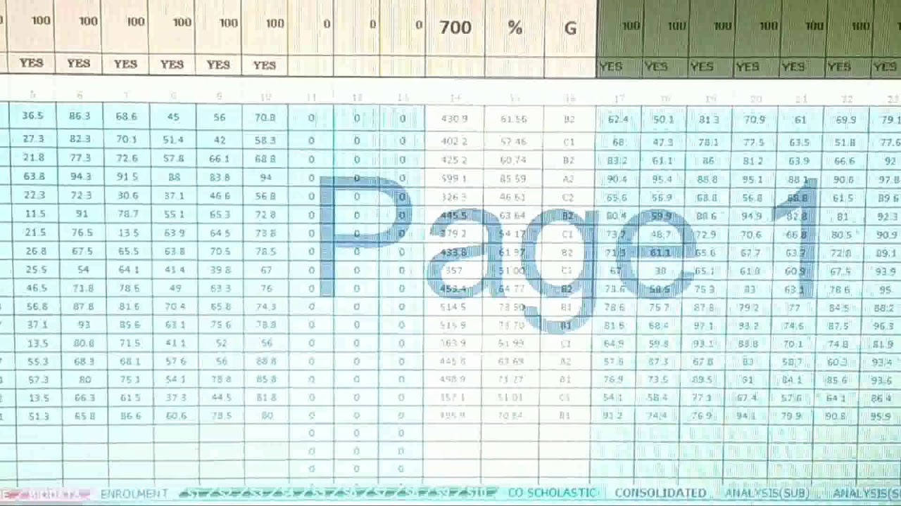 C.B.S.E REPORT CARD GENERATION SOFTWARE (2018-19)