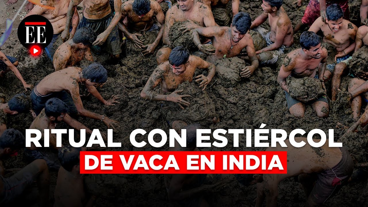 Batalla de estiércol de vaca: el ritual para prevenir enfermedades en India | El Espectador