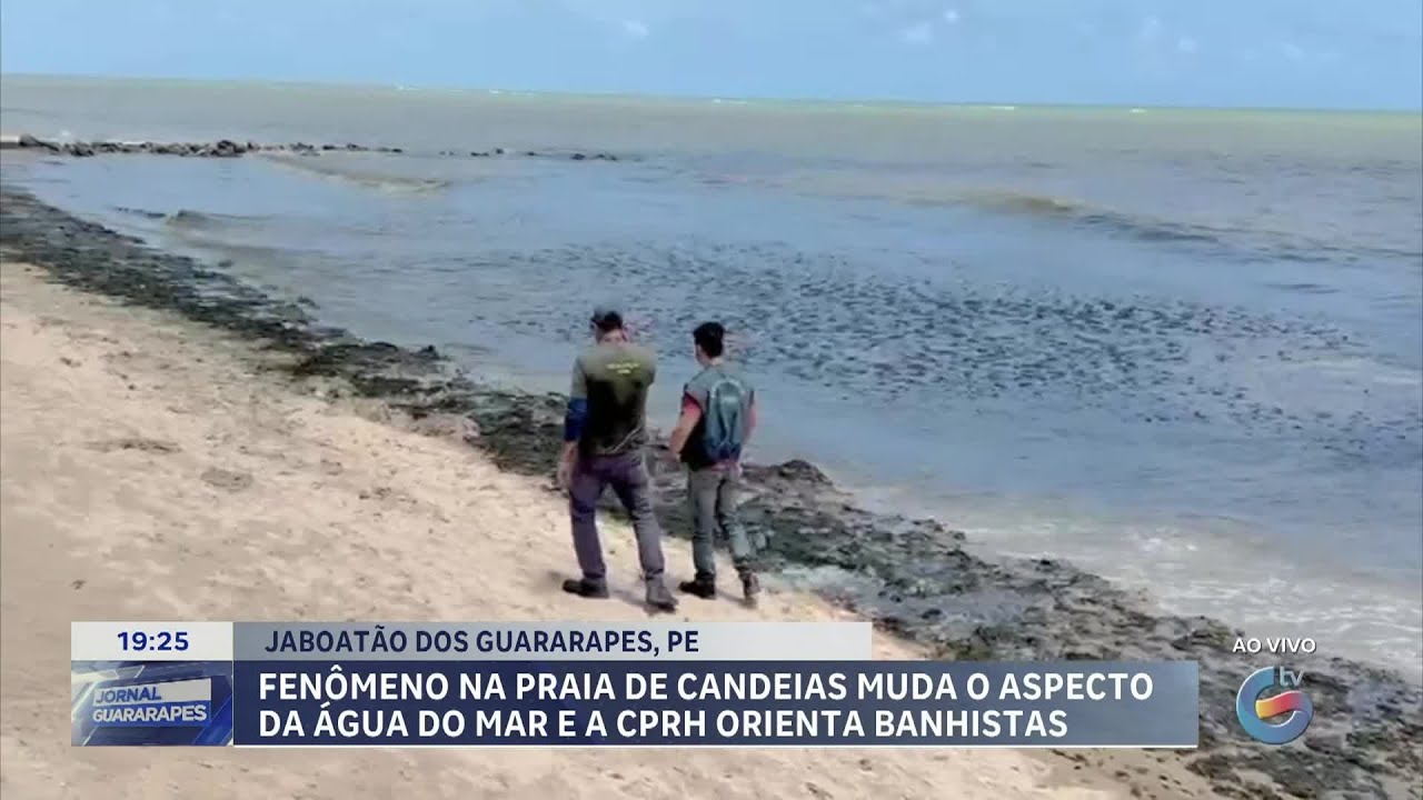 Fenômeno na praia de Candeias muda o aspecto da água do mar e a CPRH orienta banhistas