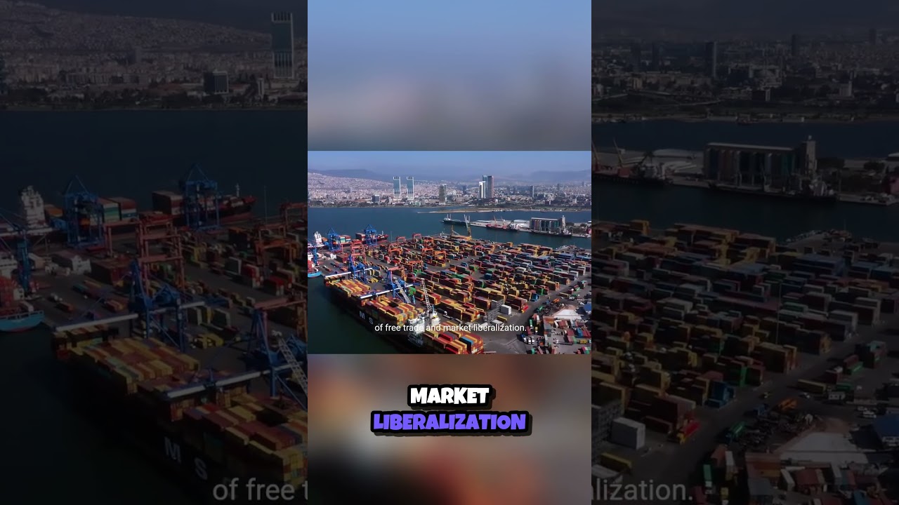 Economists at Odds  The Great Trade Policy Debate 🌍